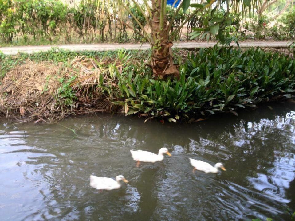 Nam Thanh Homestay Vĩnh Long Exteriör bild