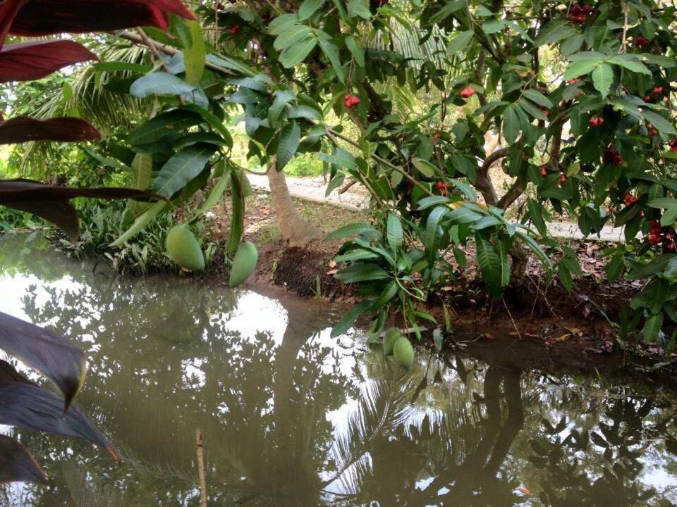 Nam Thanh Homestay Vĩnh Long Exteriör bild